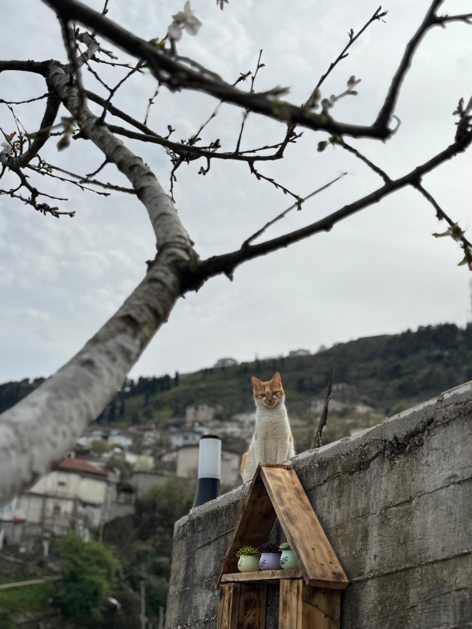 Ilvi Maison d'hôtes *